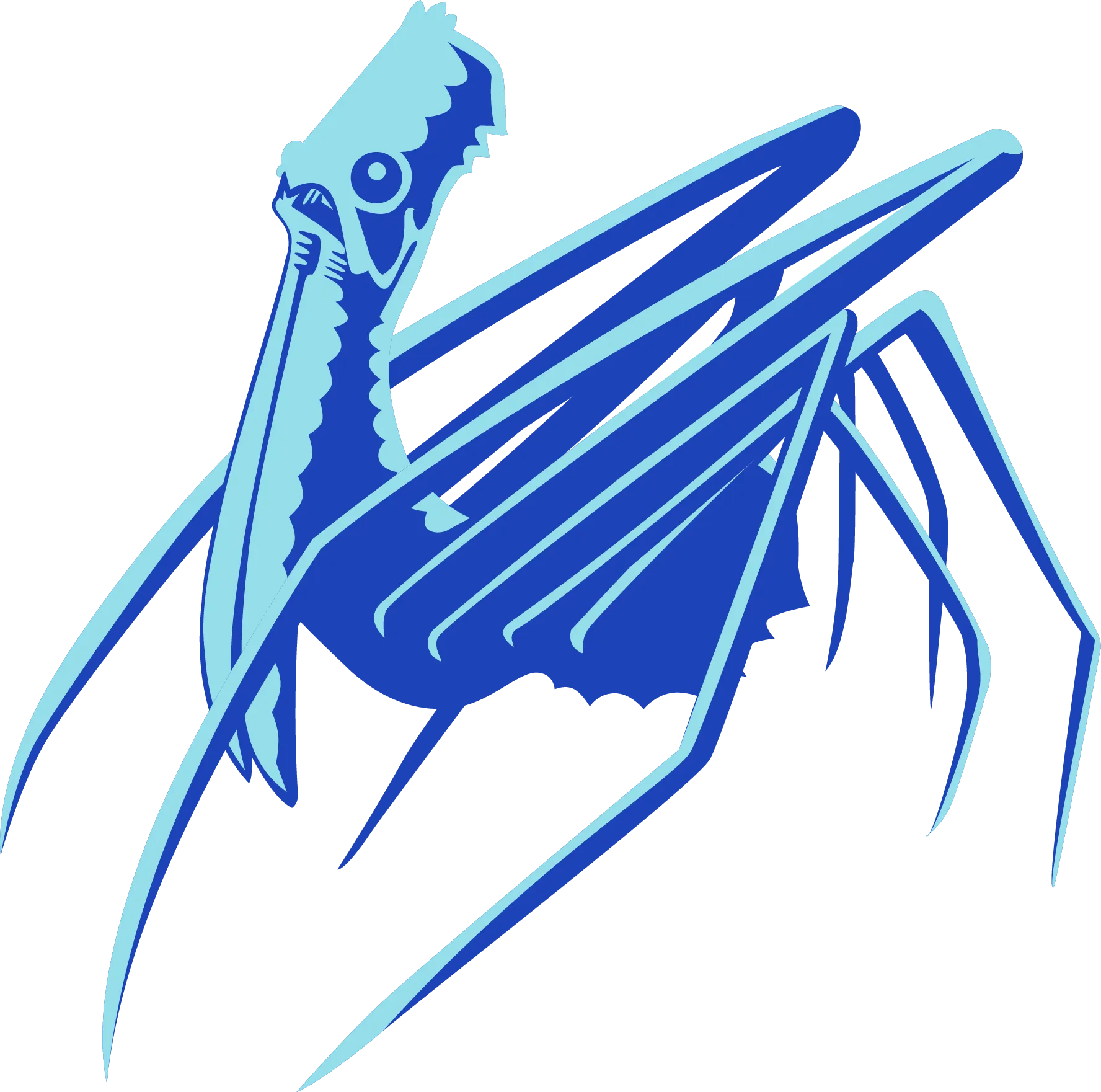 Pelican spider Website Design Glasgow
