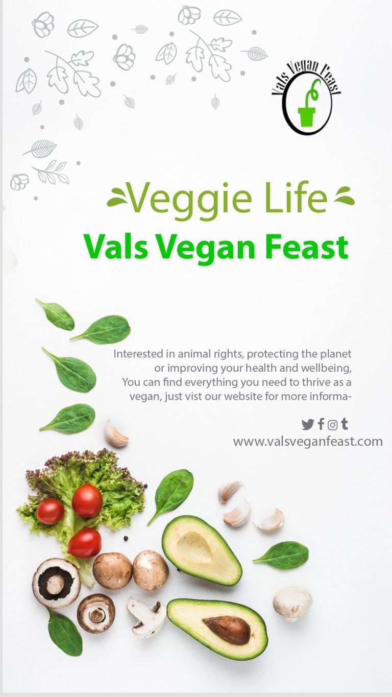 Val's Vegan Feast 9 #Val's Vegan Feast Instragram Post #6